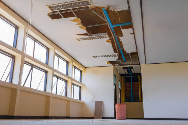 Reliable SD Water damage restoration Solutions