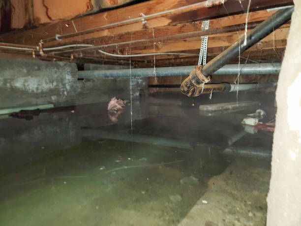 Best Carpet water damage restoration  in Harrisburg, SD