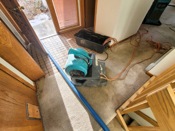 Best Ceiling water damage repair  in Harrisburg, SD