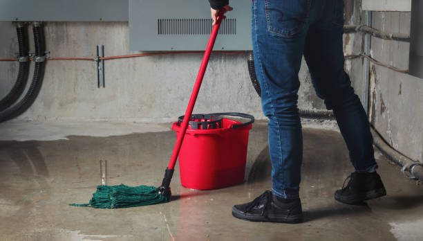 Best Water damage restoration near me  in Harrisburg, SD
