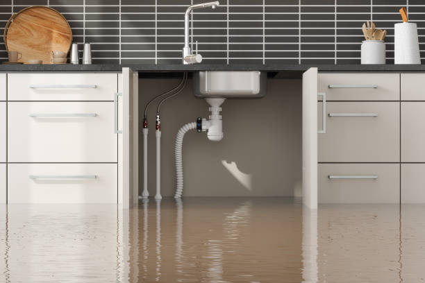 Best Flood restoration services  in Harrisburg, SD