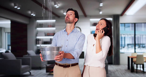 Best Commercial water damage restoration  in Harrisburg, SD