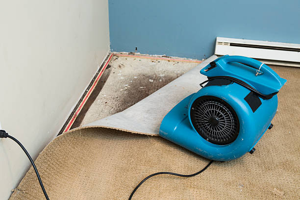 Best Flooded house restoration  in Harrisburg, SD